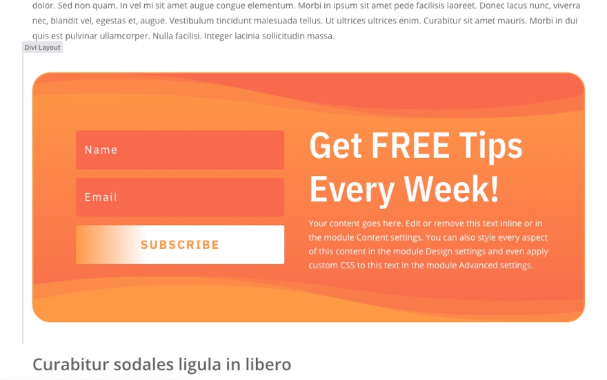 Gutenberg Divi E-posta Seçeneği