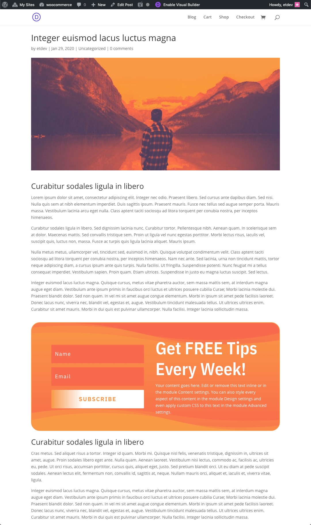 Gutenberg Divi E-posta Seçeneği