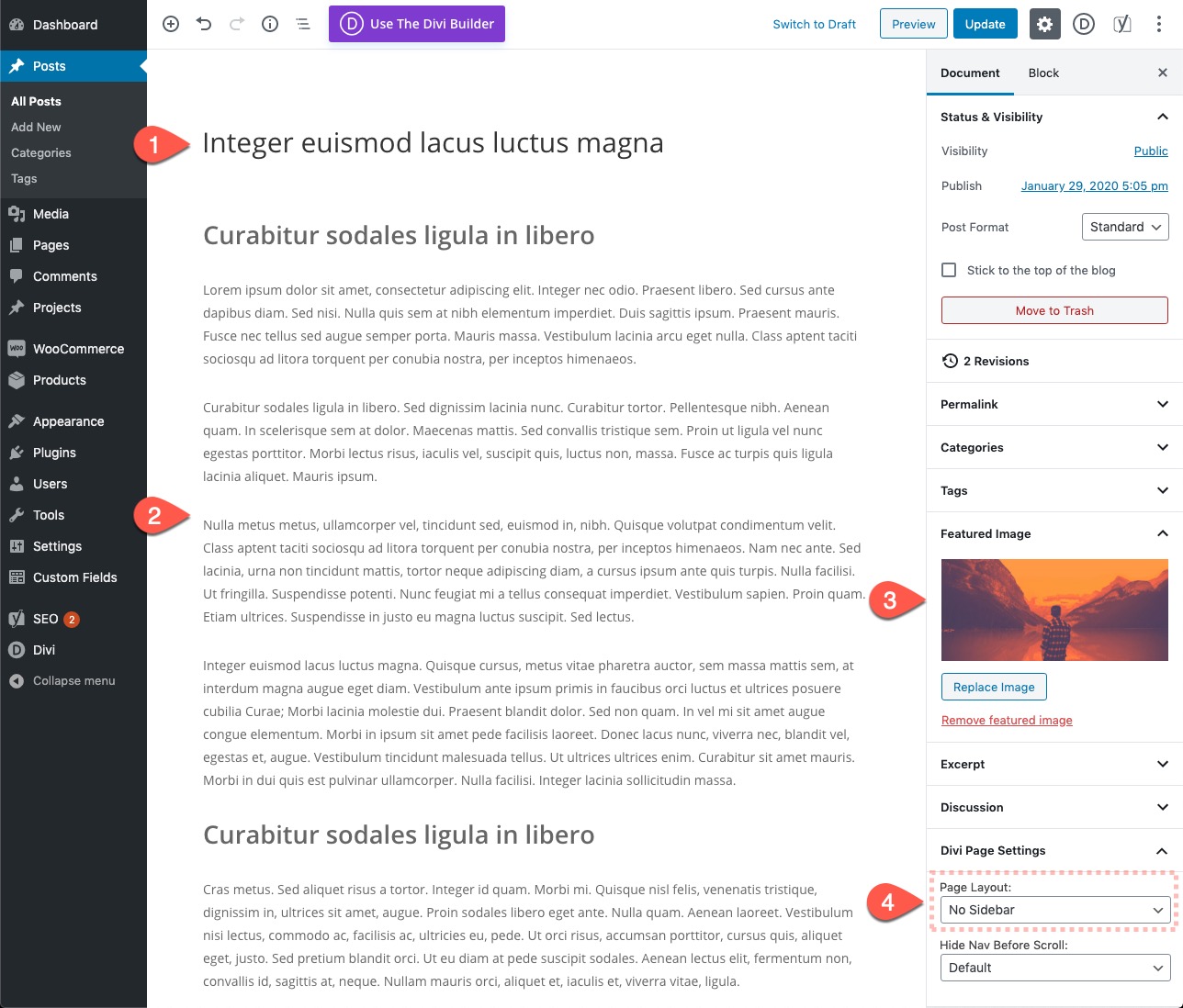 Gutenberg Divi E-posta Seçeneği