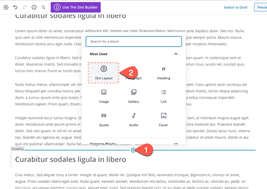 Gutenberg Divi E-posta Seçeneği