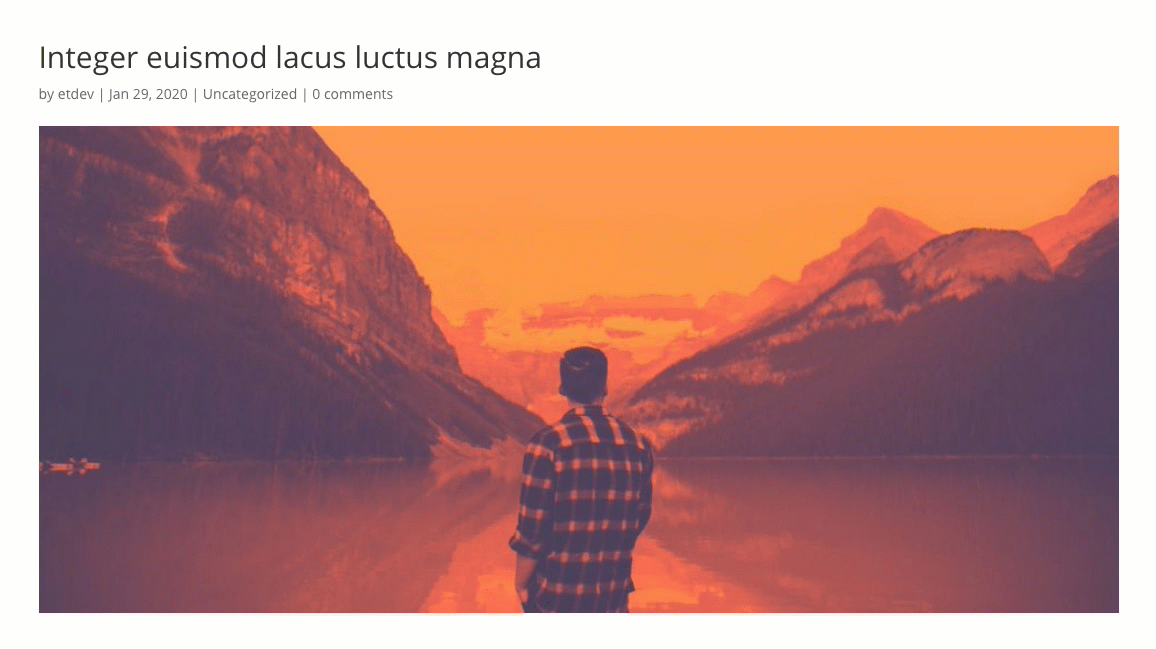 Gutenberg Divi E-posta Seçeneği