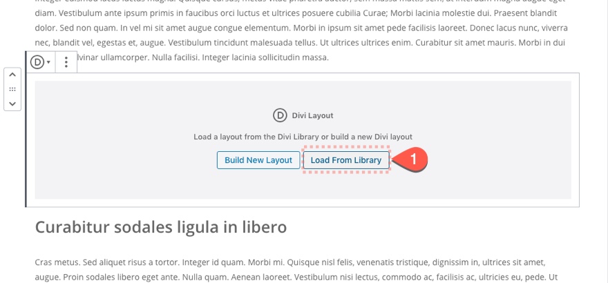 Gutenberg Divi E-posta Seçeneği