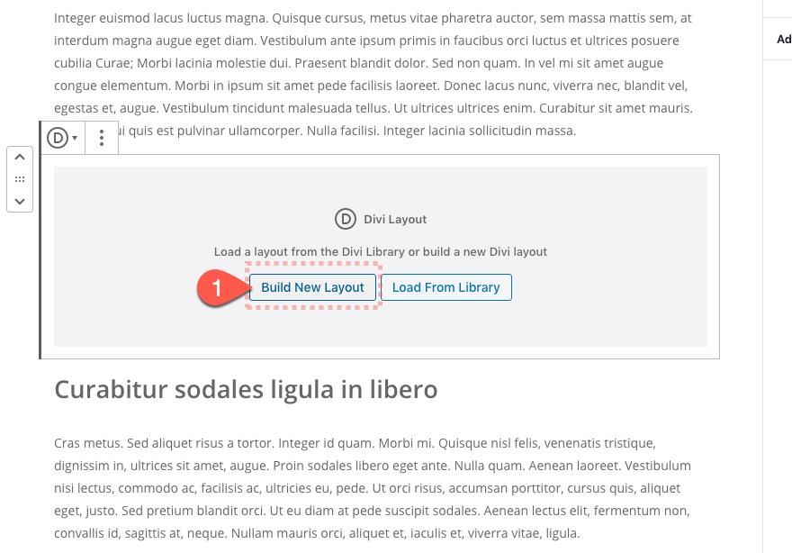 Gutenberg Divi E-posta Seçeneği