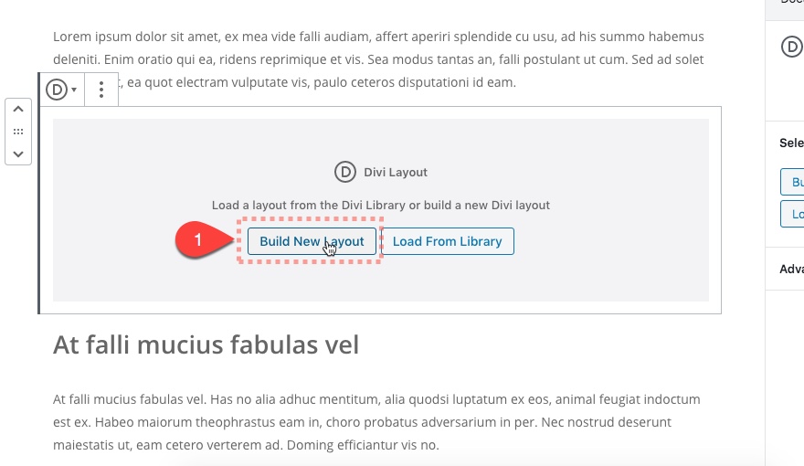 многоразовый блок макета divi