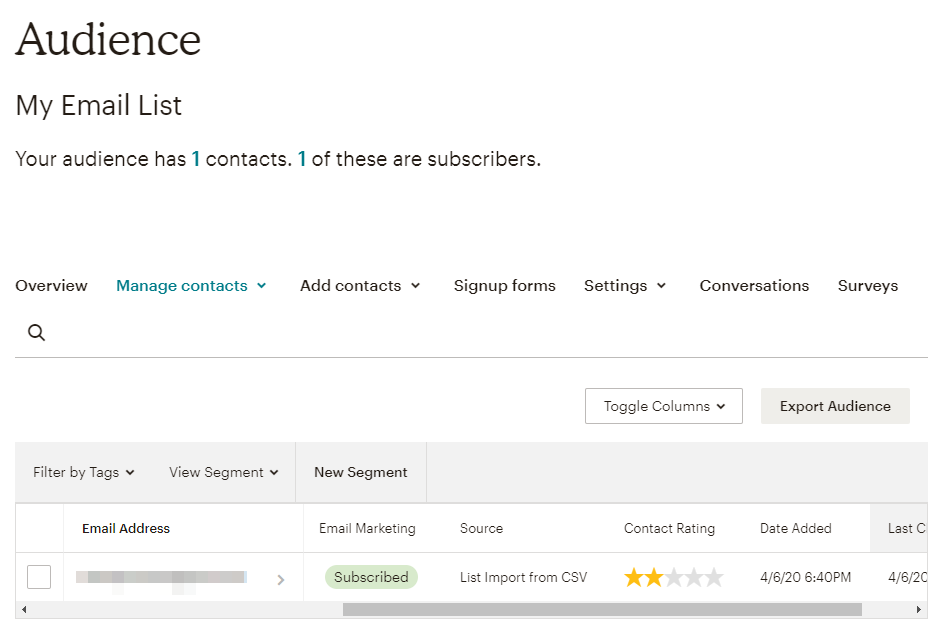 Deine aktualisierte Mailchimp-Zielgruppe.