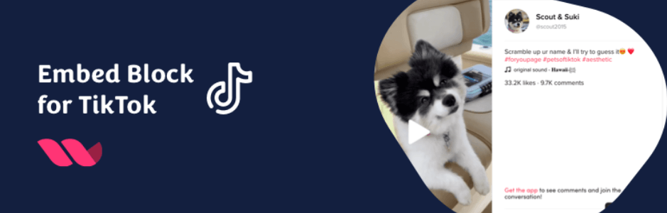 TikTokプラグインの埋め込みブロック。