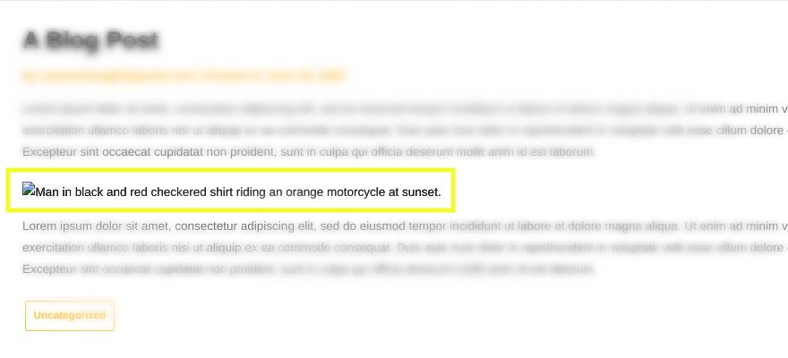 블로그 게시물에 이미지 대신 표시되는 alt 태그입니다.