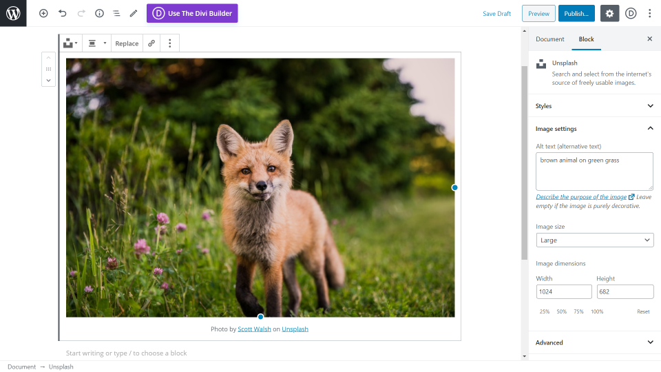與古騰堡 Unsplash