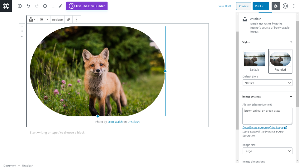 與古騰堡 Unsplash