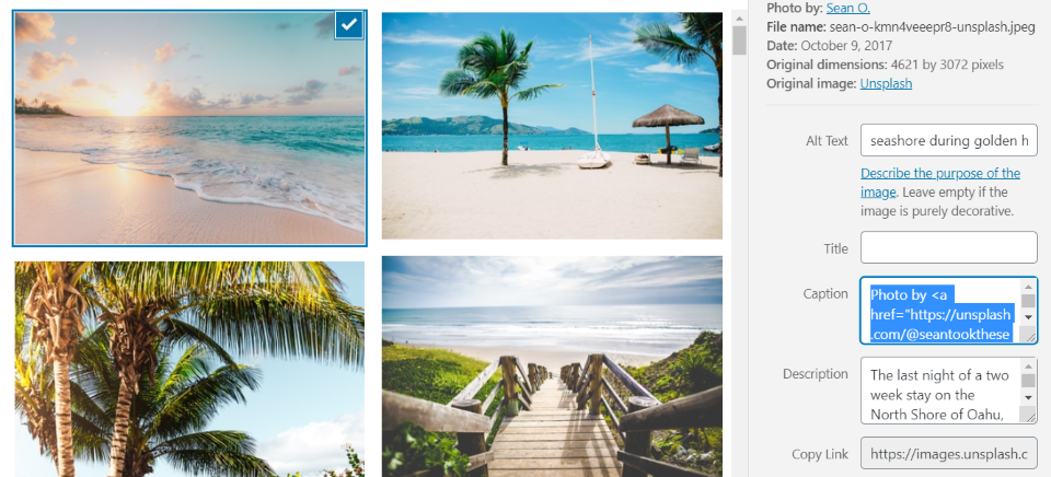 顯示沒有署名的圖像