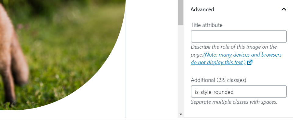 與古騰堡 Unsplash