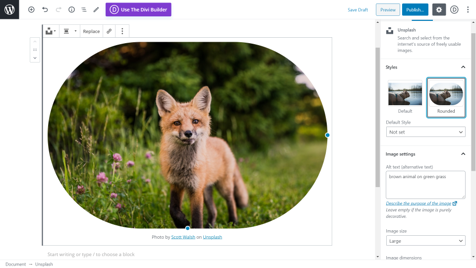 與古騰堡 Unsplash