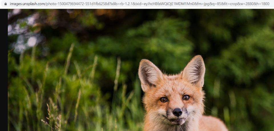 Unsplash 圖像被熱鏈接