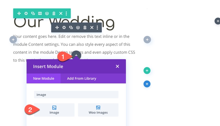 ombres d'images en mouvement divi