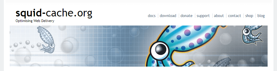 Домашняя страница Squid cache.