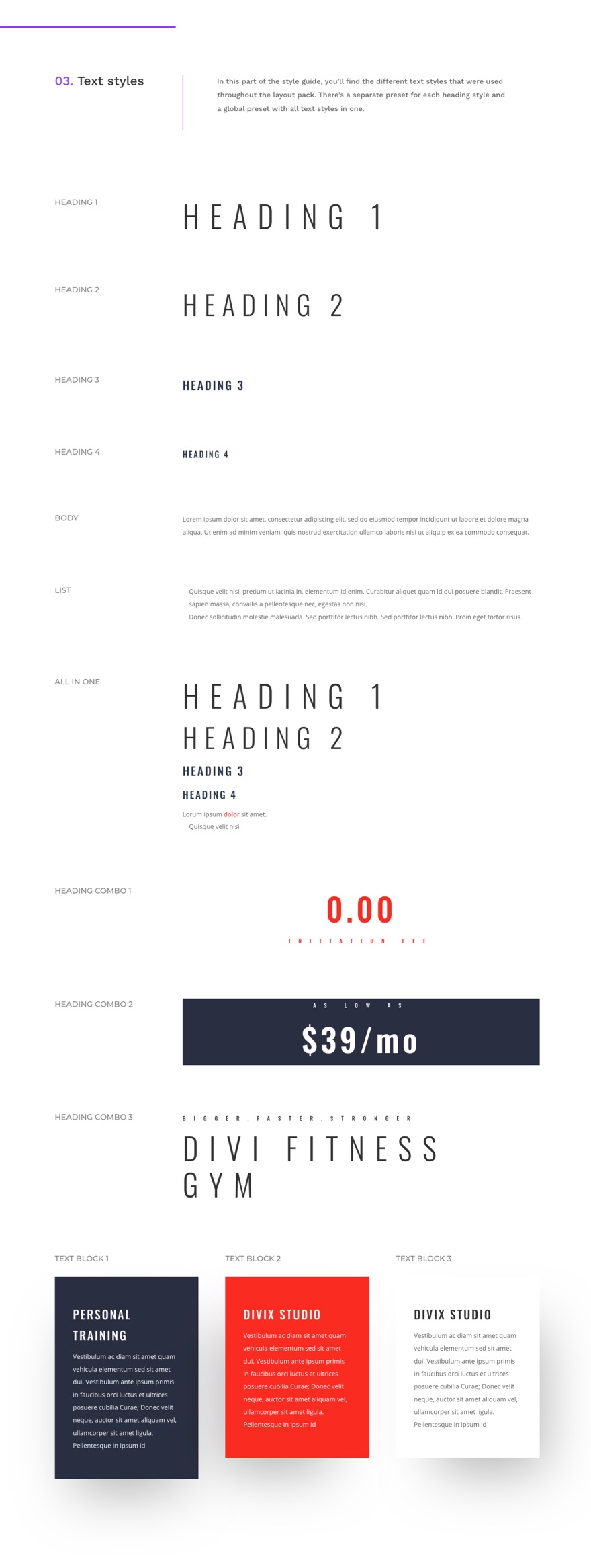 Fitness Gym 全球预设风格指南