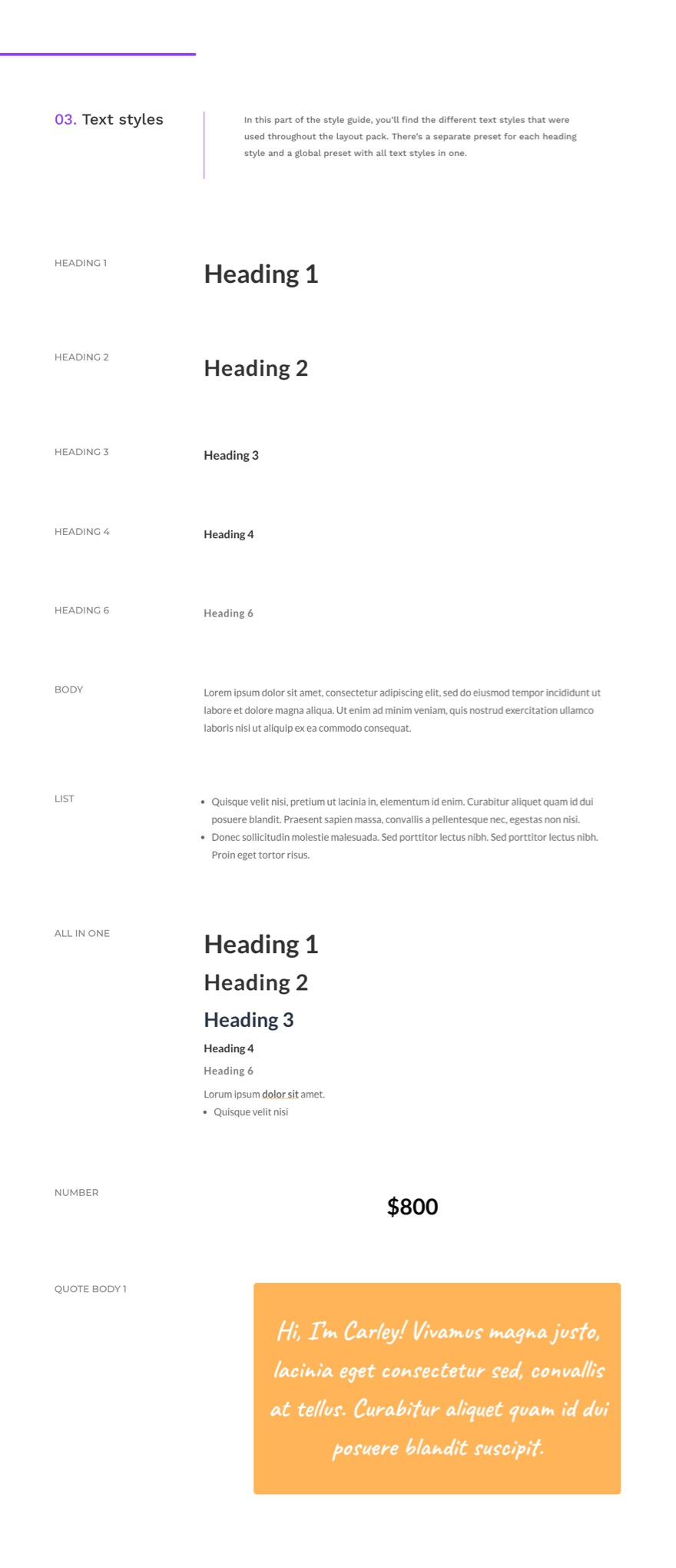 divi yaşam koçu küresel ön ayarlar stil kılavuzu