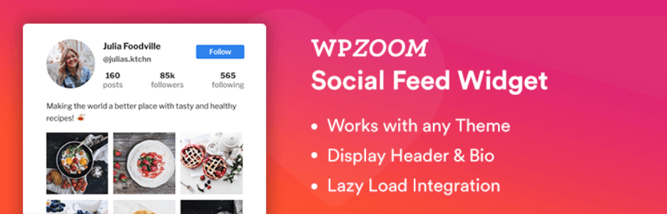 Pluginul WPZOOM Social Feed Widget.