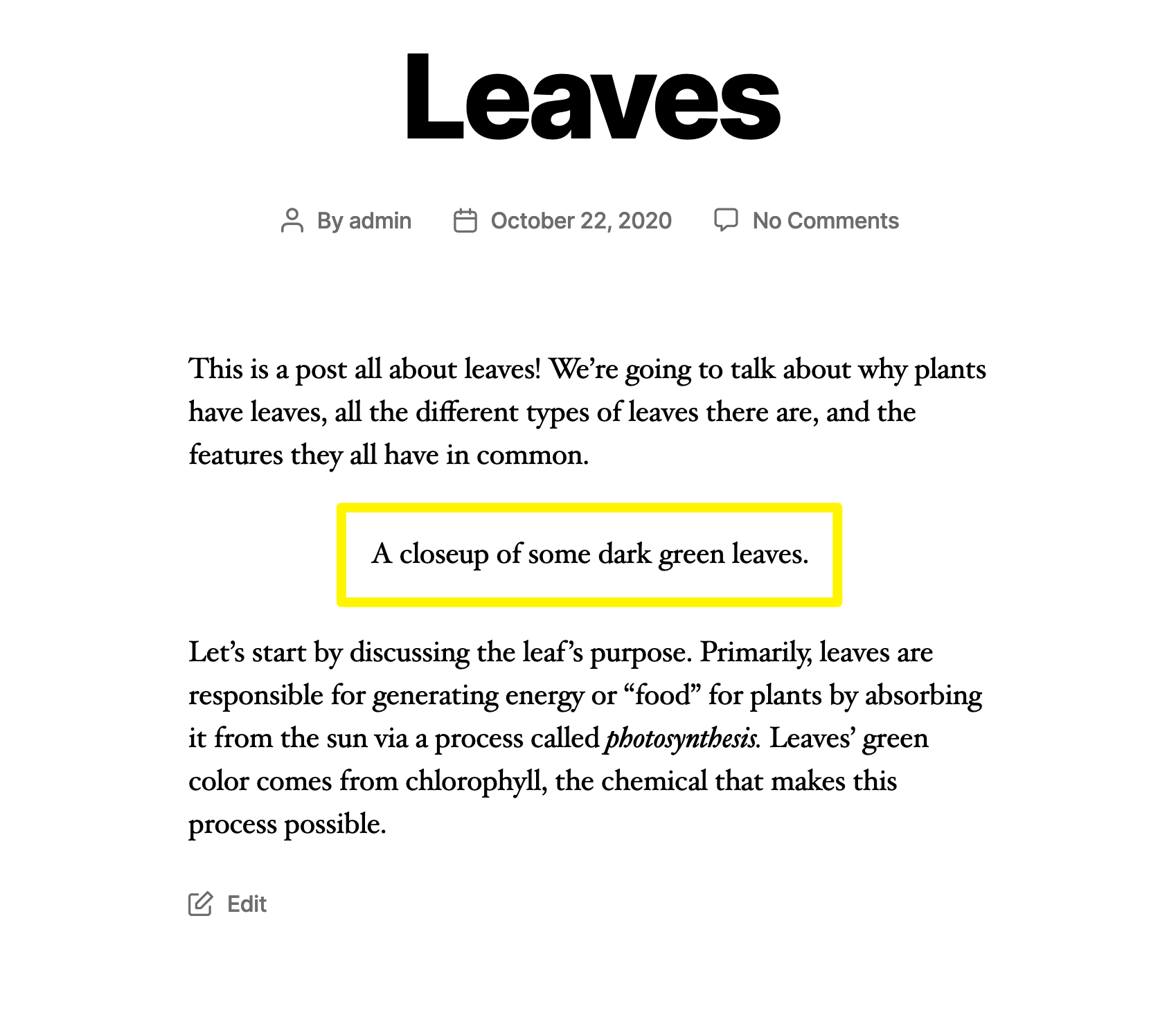 로드할 수 없는 이미지 대신 대체 텍스트가 표시됩니다.