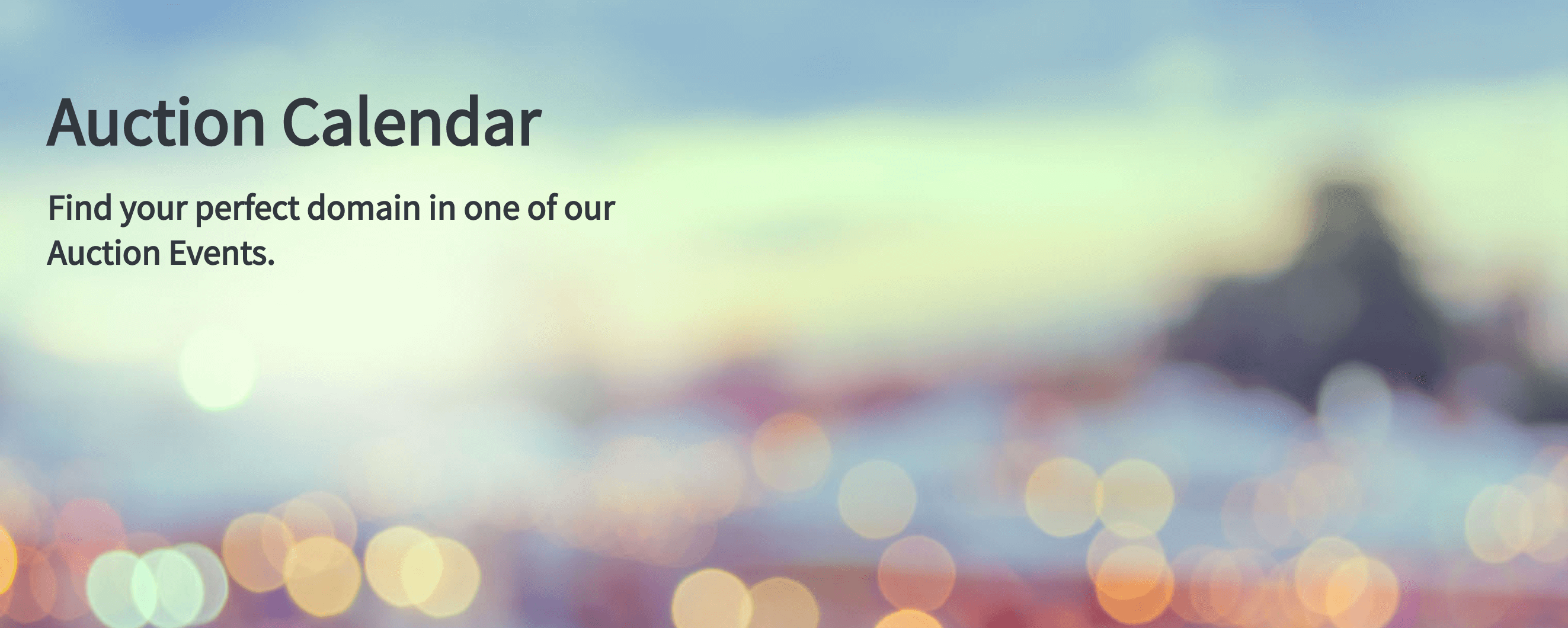 セドのドメイン名オークションカレンダー。