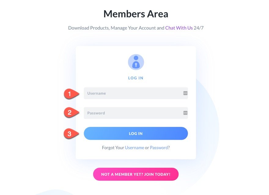 Пакет макетов продукта Divi