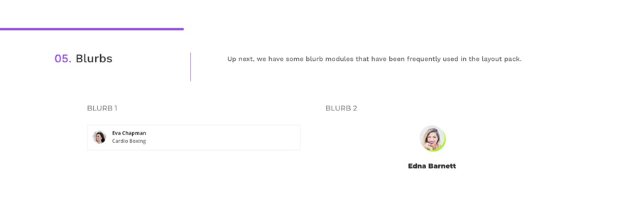 guía de estilo de preajustes globales para el paquete de diseño de fitness virtual de divi