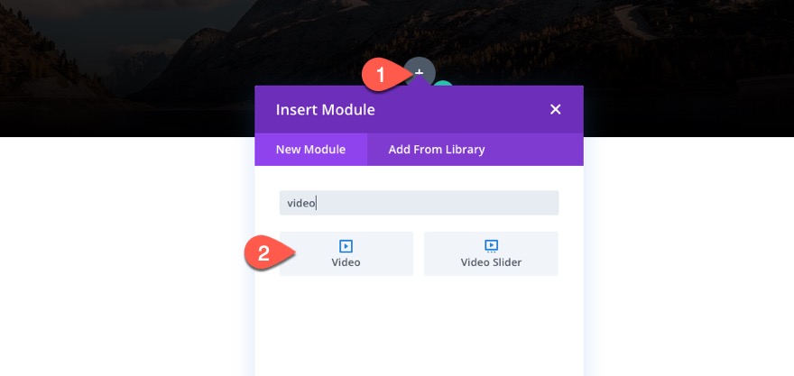 divi controlli video html5 personalizzati