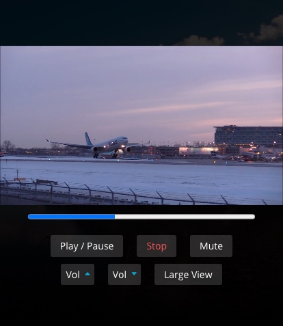 divi controlli video html5 personalizzati