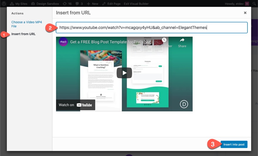 toggle transkrip video divi