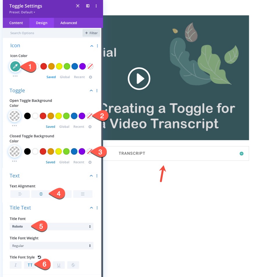 toggle transkrip video divi