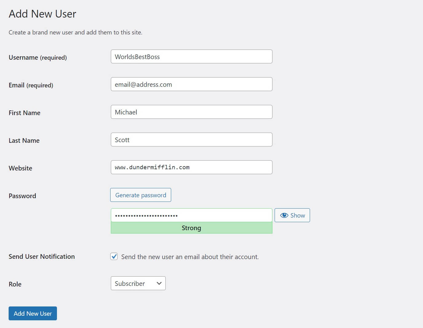 O novo formulário de usuário preenchido no WordPress.