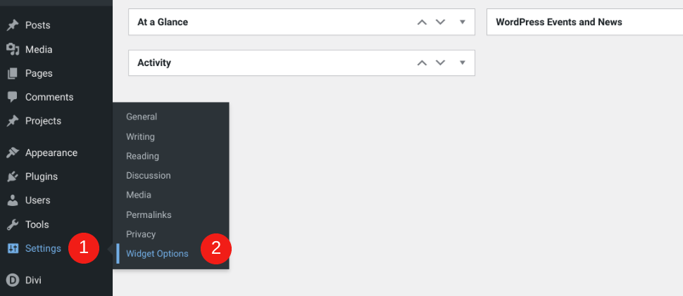 WordPress'teki Widget Seçenekleri menü öğesi.