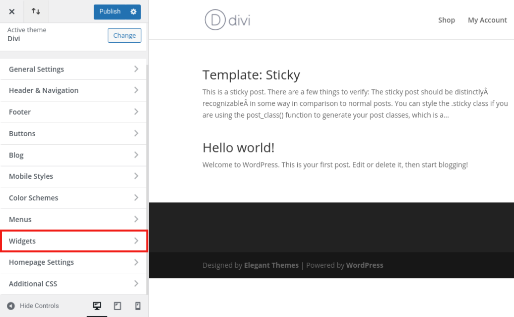 Divi Tema Özelleştirici'nin 'Widget'lar' bölümü.