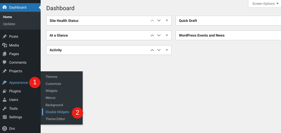 WP Widgets Disable eklentisinin menü öğesi.
