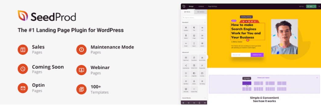 ปลั๊กอิน SeedProd WordPress