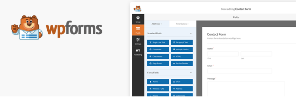 WP Forms WordPress eklentisi.