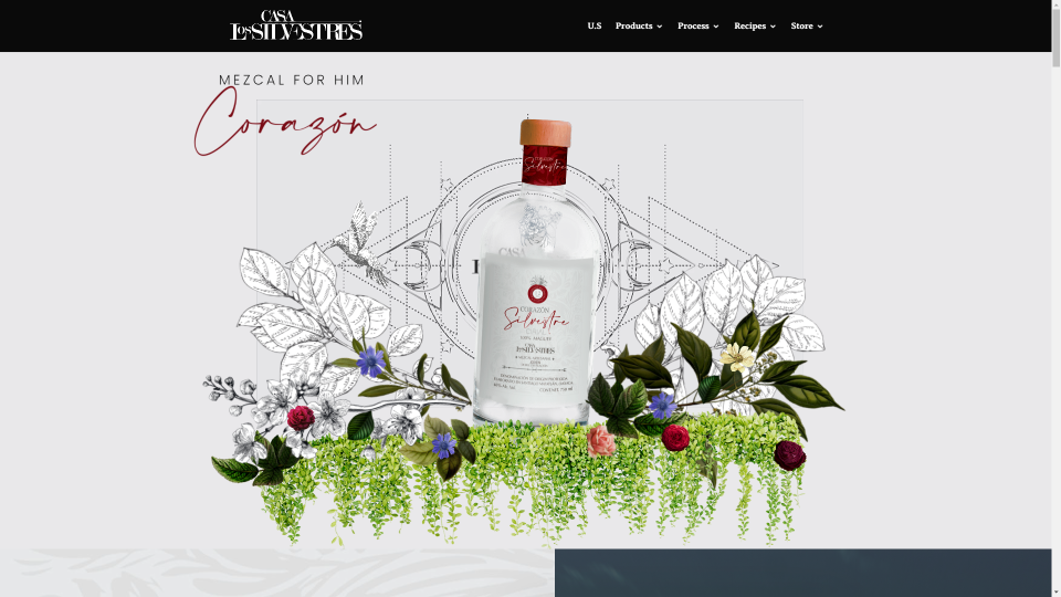 كاسا لوس سيلفستريس