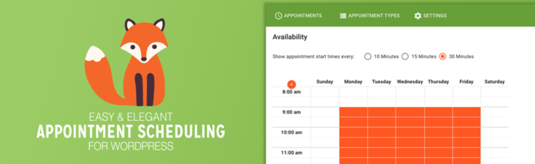 Плагин Simply Schedule Appointments.