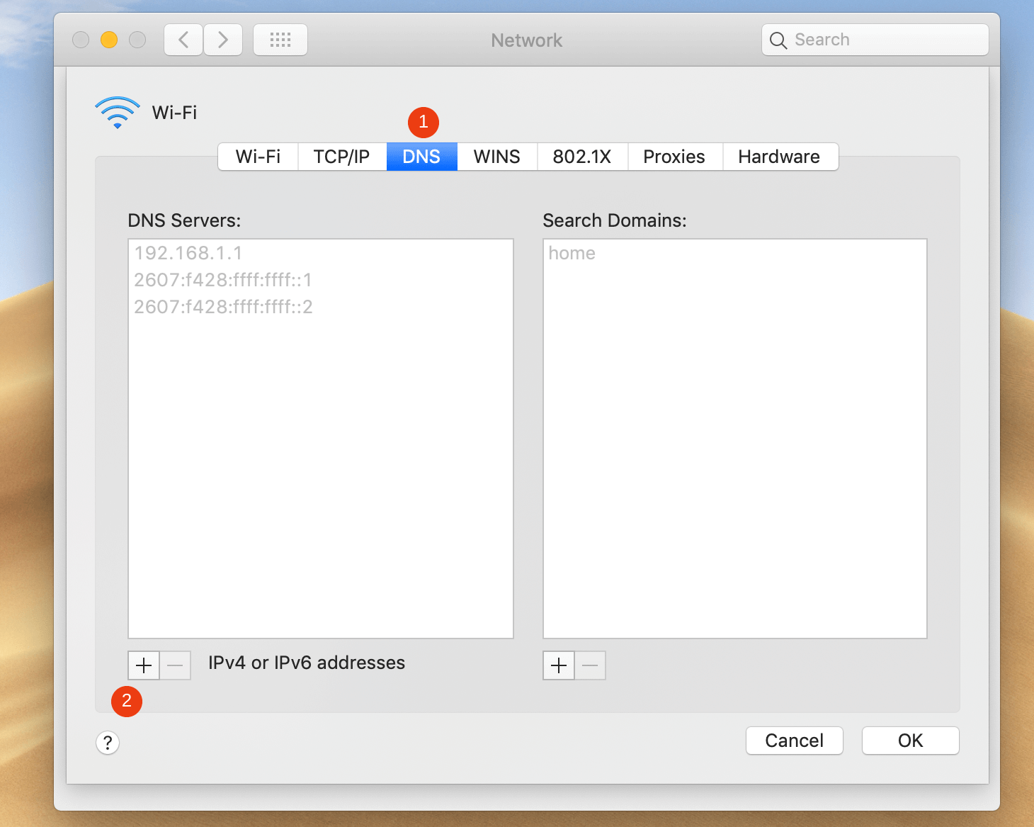macOS 上的 DNS 设置。