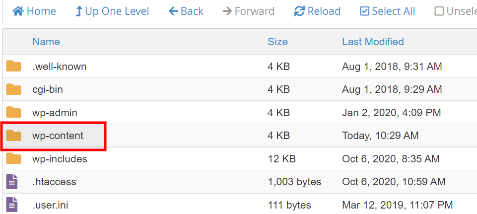 Mettre à jour WordPress ou supprimer les plugins et thèmes corrompus