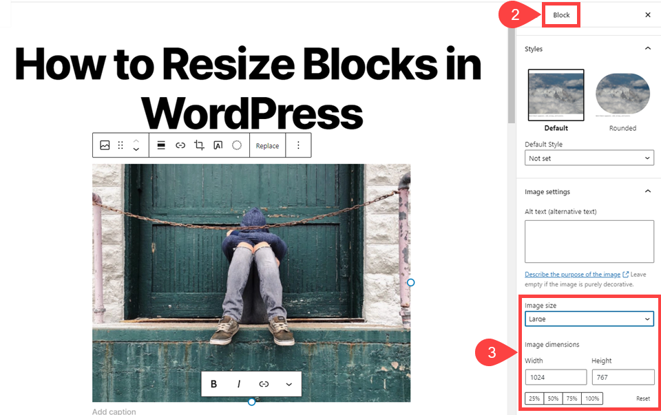 用於如何在 wordpress 中調整塊大小的圖像選項