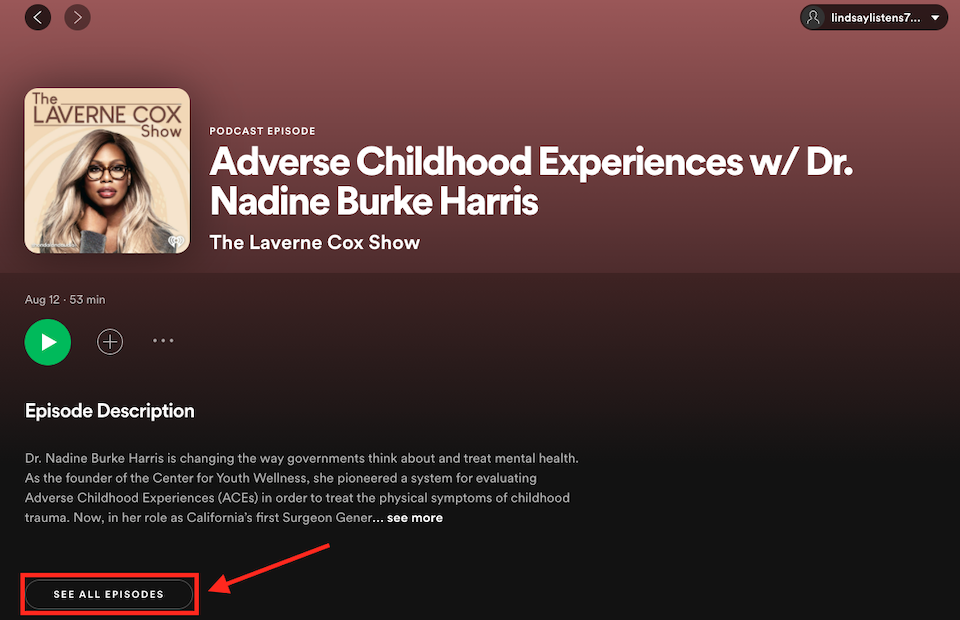 embed spotify