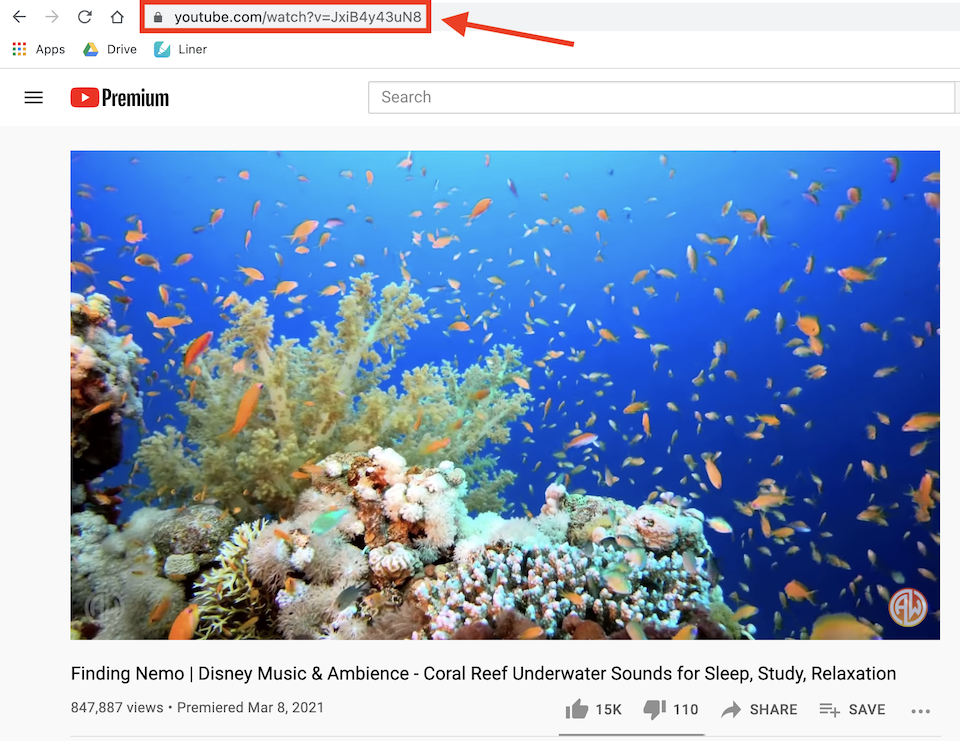 tambahkan video ke wordpress