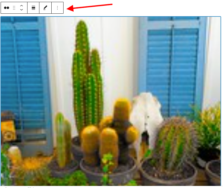 Flickr-Einbettungsblockeinstellungen.