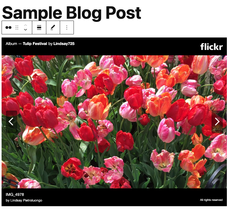Bilder zu WordPress hinzufügen