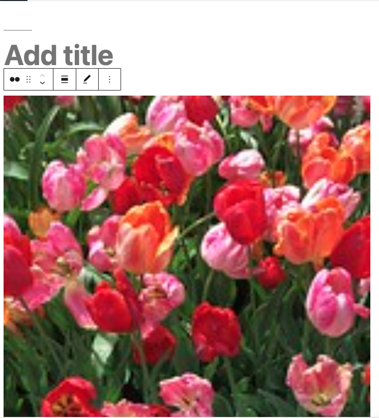 Bilder zu WordPress hinzufügen