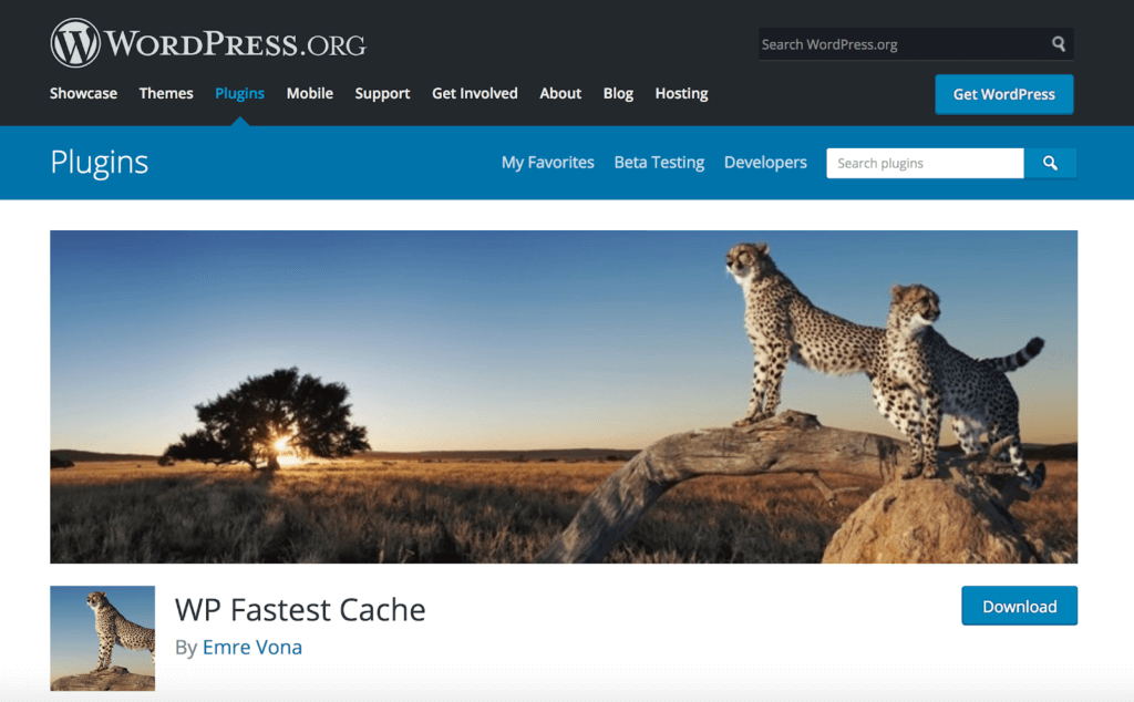 WP Fastest Cache