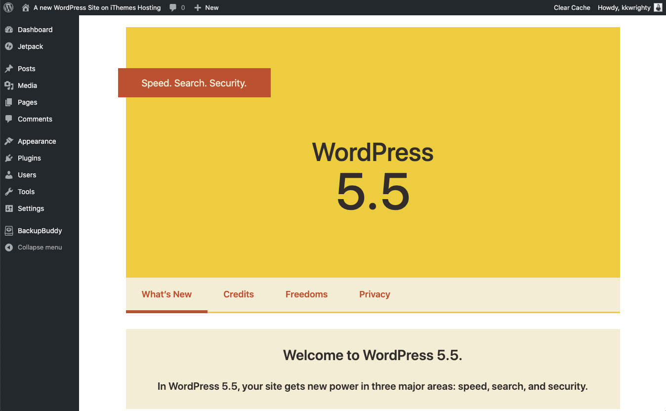 WordPress 5.5-Update