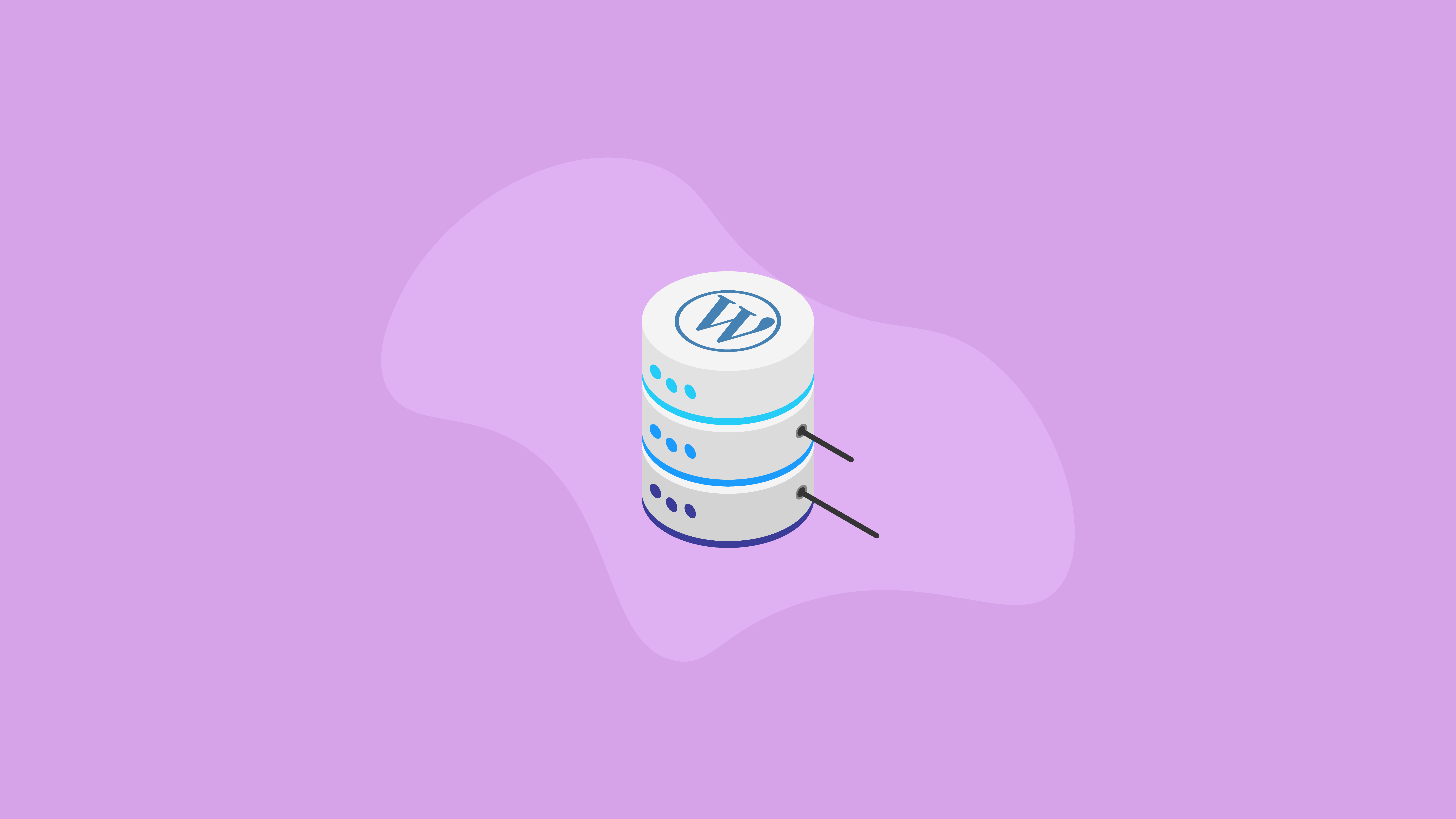 wordpress database explained