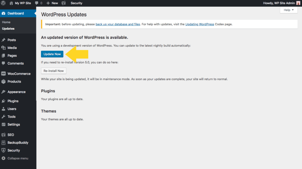 WordPress 立即更新